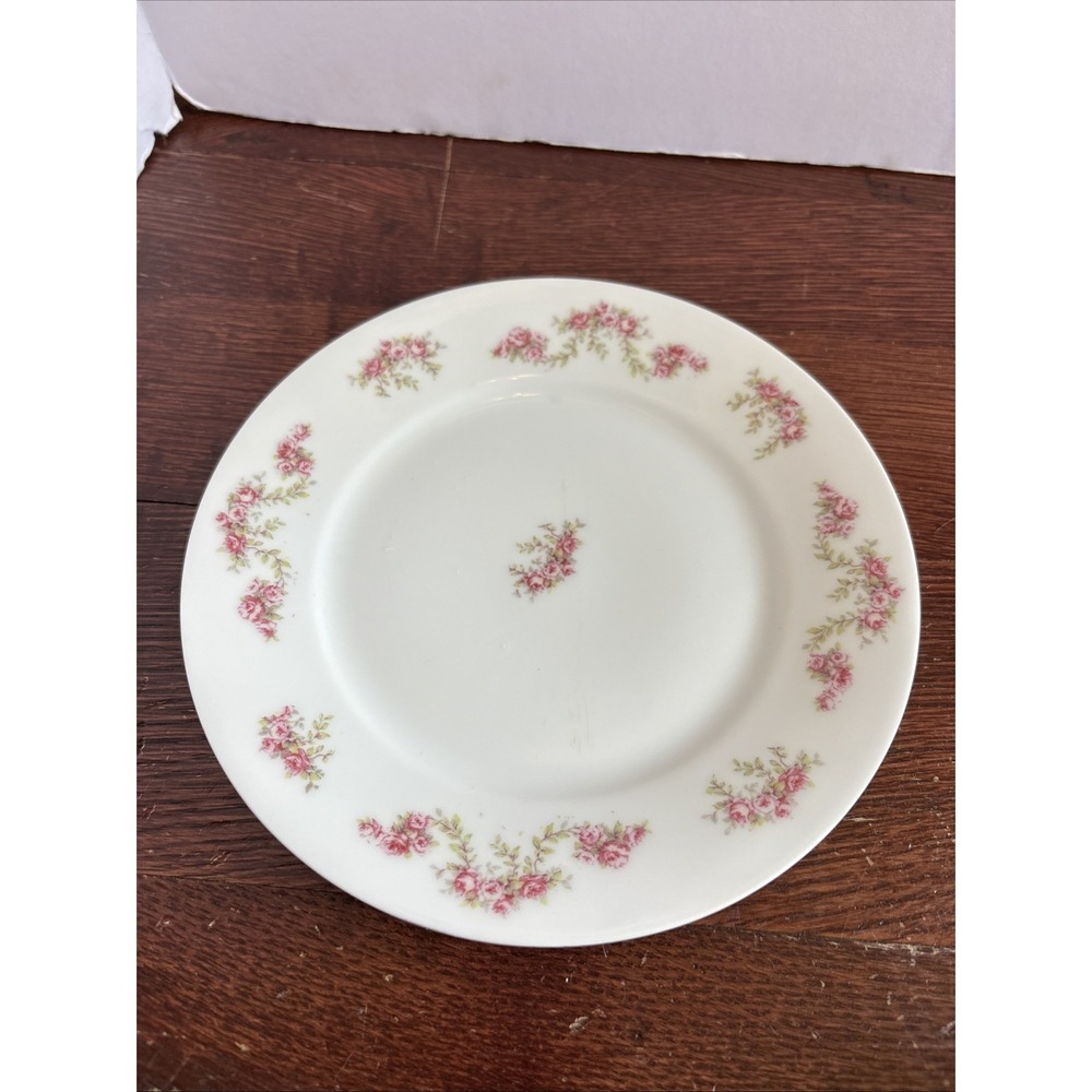 CC1900 Tho309 Discontinued Salad Plate By Thomas 7 3/4 Crafted In Bavaria Floral